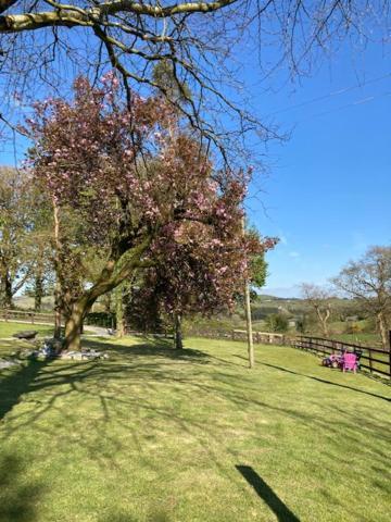 The Cottage Cork Esterno foto