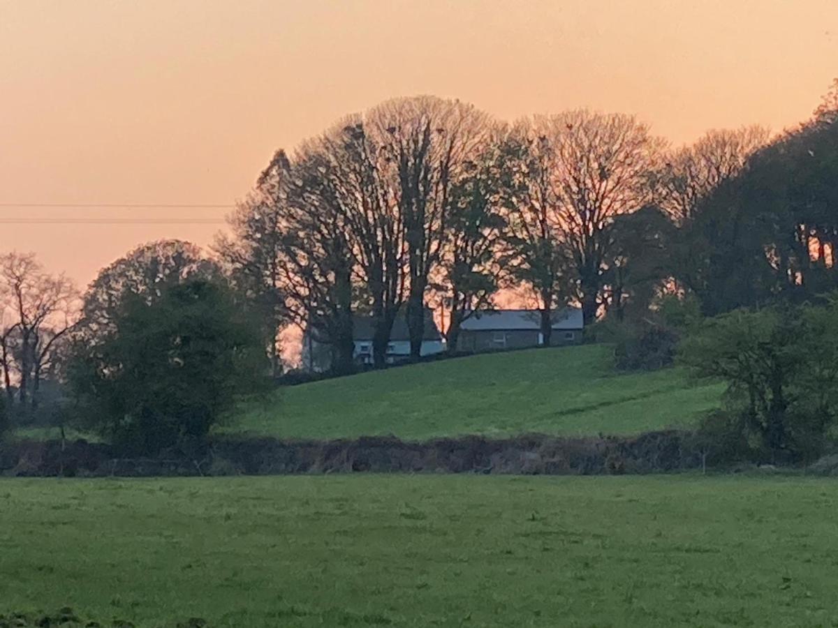 The Cottage Cork Esterno foto